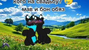 кого на свадьбу? опис