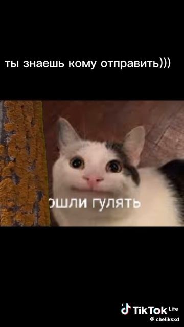 ты знаешь кому отправить смотреть онлайн