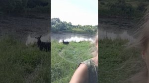 СОЛНЦЕ ЖЖЁТ,А МЫ ТЮКУЕМ!🌞🌾🌾🌾СЕНОКОС 2026!!!