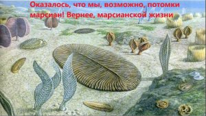 Оказалось, что мы, возможно, потомки марсиан! Вернее, марсианской жизни