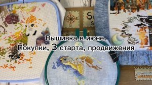 Вышивка в июне. Покупки, 3 старта, продвижения / Вышивка крестом🪡