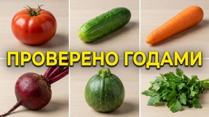 Сорта овощей которые не подведут в нашем климате