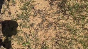 Наслаждаемся водой. Но поломки не прекратились…Уже чиним своими силами.