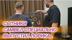 САМВЕЛ АДАМЯН, СЫТНИКИ, САМВЕЛ СПЕЦИАЛЬНО ВЫПУСТИЛ ЛОРИКА..