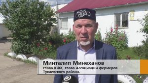 До трёх тысяч тонн картофеля