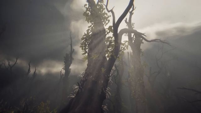 Трейлер Windrose (Ashlands, обновление) смотреть онлайн