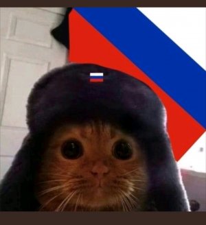 у меня др