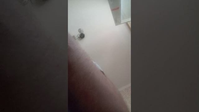гн смотреть онлайн