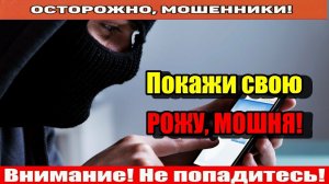 Мошенники звонят по телефону / Бесплатный тариф на один год, звонок из курятника!