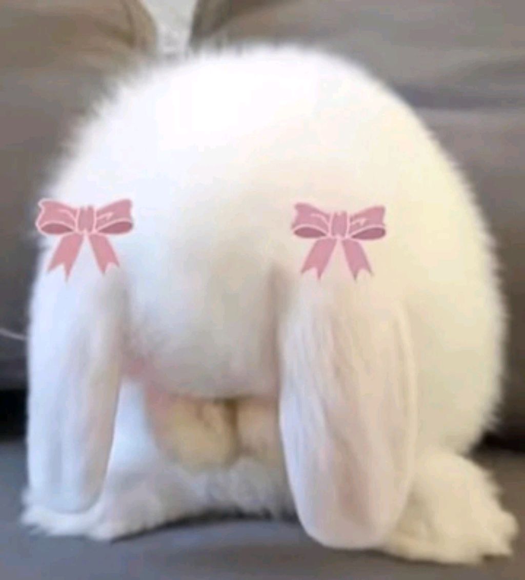 хз смотреть онлайн