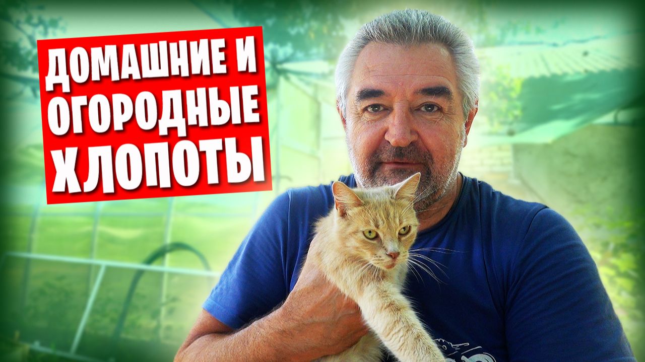 😺 Дела домашние и огородные 🌼
