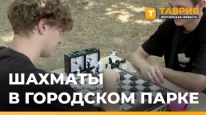 В Геническе открыли шахматную площадку в городском парке