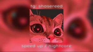 Твой любимый плейлист из TikTok 2026 / speed up / nightcore