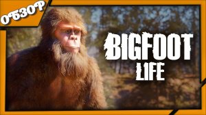 Bigfoot Life ОБЗОР игры ➤ Выживание йети в красивом лесу 🦍🌲