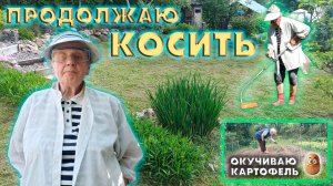 Продолжаю косить, окучиваю картофель!
