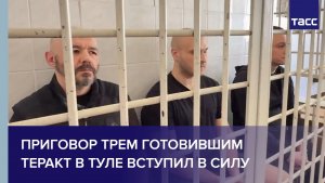 Приговор трем готовившим теракт в Туле вступил в силу