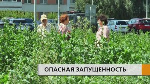 Тревожная картина наблюдается в 17 комплексе посёлка ЗЯБ