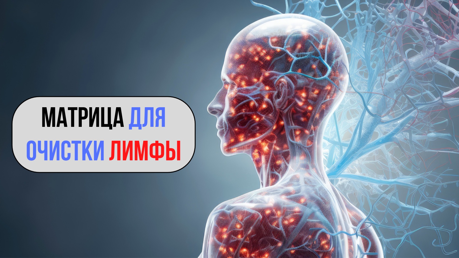 2026 ГОДА (НОВАЯ) Матрица для очистки лимфы