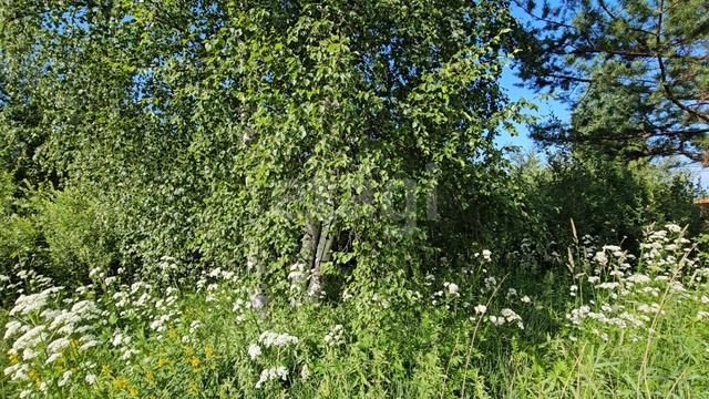 12968533 Север 1 смотреть онлайн