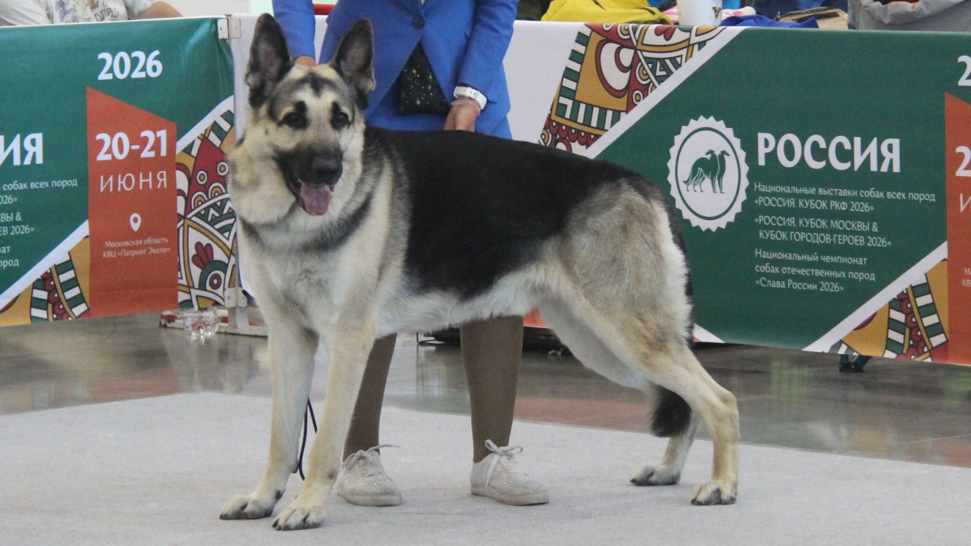 Гуннар
