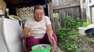 Деловую бабушку угостили жимолостью