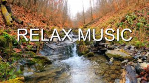 RELAX | АНТИСТРЕСС МУЗЫКА ДЛЯ ДУШИ — ЛЕСНОЙ РУЧЕЙ, НЕЖНЫЙ САКСОФОН, ШУМ ВОДЫ И ПЕНИЕ ПТИЦ ДЛЯ ОТДЫХА
