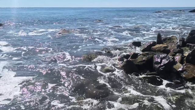 Чёрное море. Бархатный сезон. Осень. Часть 1