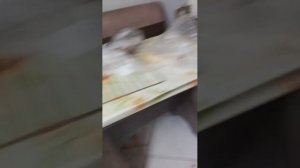 отвечаю на вопросы ПИШИТЕ В ЧАТ