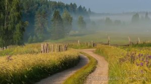 Меня продали за 30 рублей вдовцу с 4 детьми, но когда я встретила бывшего  мужа..