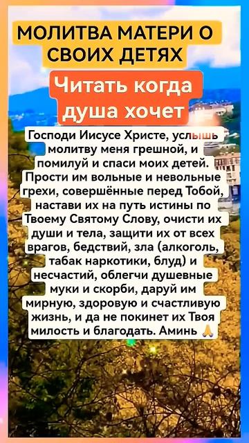 #shorts# Молитва матери о детях #рекомендации#защитнаямагия#подпишись#мудрость#семья#шепоток#жизнь