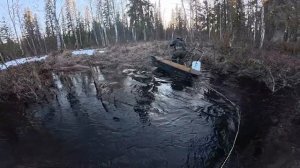 Едем на охоту за гусем. Гусиная охота