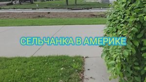 Сельчанка в Америке Жизнь в Американской глубинке США ЦЕНЫ НА ПРОДУКТЫ В АМЕРИКЕ 2026 МАГАЗИН ALDI