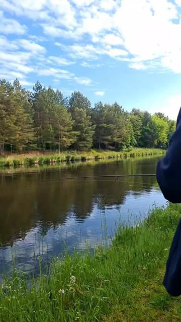 Красота. Утро на канале.