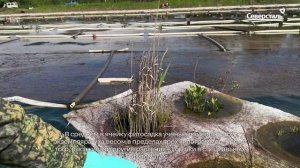 «Карельский окатыш» продолжает применять фитотехнологии очистки сточных вод