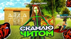 ЗАБИРАЮ КАПТЫ с ЧИТАМИ *меня не забанили* на BLACK RUSSIA в crmp mobile!
