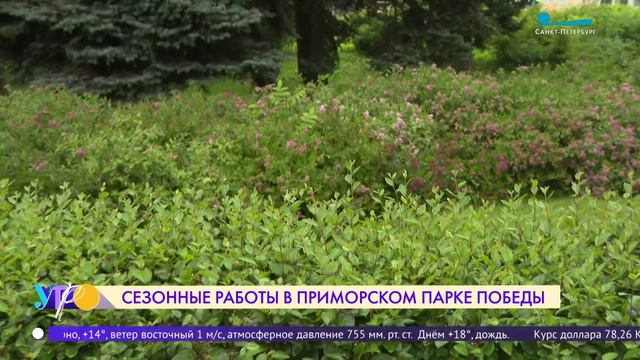 Парки Петербурга