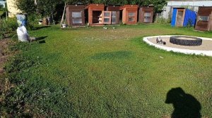 02.07.26 Тренировки молодых голубей продолжаются...
