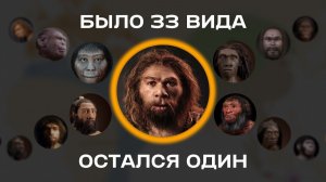 Вся эволюция человека за 20 минут