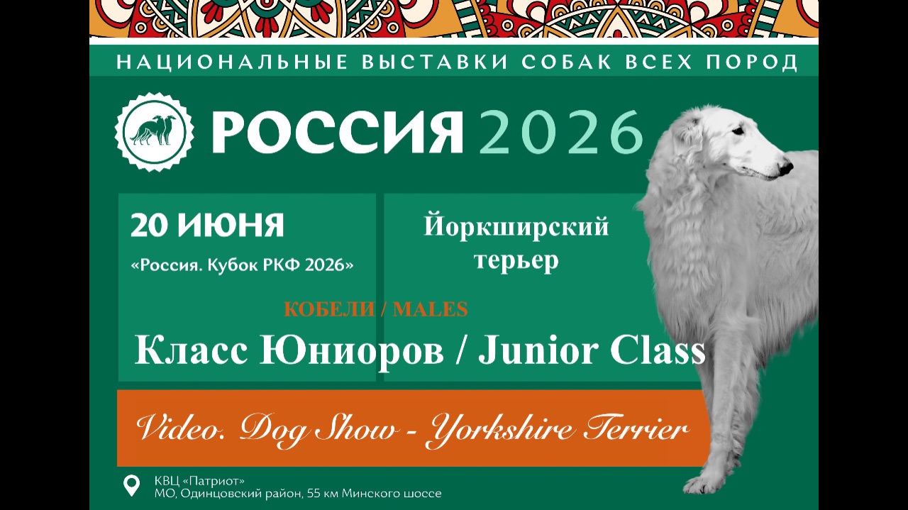 NDS "RUSSIA. RKF CUP 2026" / Males / Junior Class смотреть онлайн