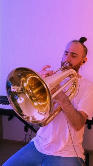 ШкольниК и Бау – Танцы у огня (baritone solo) #music #solo #музыка #огонь