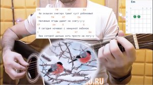 Трофим - «СНЕГИРИ». Аккорды и разбор со вступлением, на гитаре