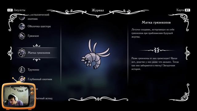 Hollow Knight