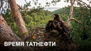 Время Татнефти 01.07.26