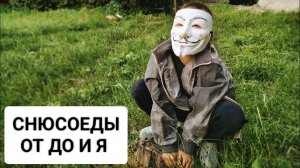 СНЮСОЕДЫ ОТ ДО И Я|#9 ДЫМЧАТЫЙ СНЮСОЕД Рассказ и поиски-охота