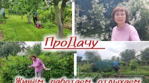 Новый день на даче!