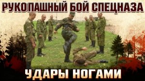 Спецприемы Рукопашного боя и Боевого САМБО Спецназа Вадим Старов Удары Ногами Добивание на Земле