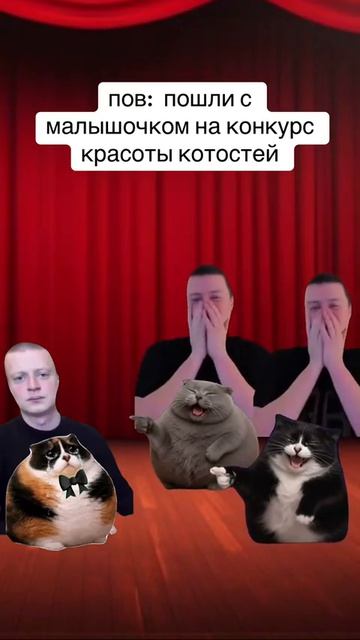 Котость