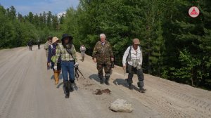 Мох - сокровище Западной Сибири