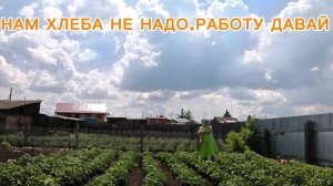 02-07-2026 НАМ ХЛЕБА НЕ НАДО РАБОТУ ДАВАЙ