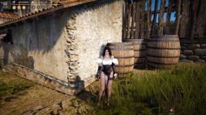 Игра Black Desert.Кратко всё о сборе.Хороший заработок в игре.